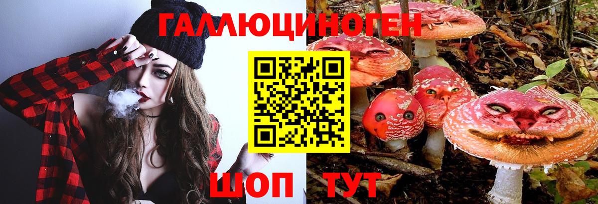 Псилоцибиновые грибы мухоморы Назарово